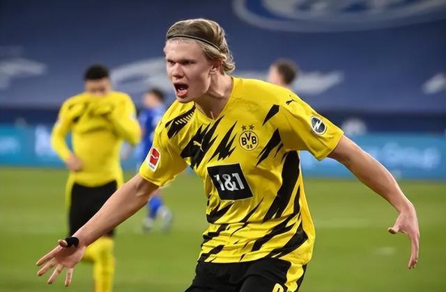 羽佳便以其 羽佳便以其